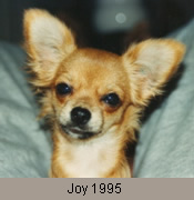 joy1995